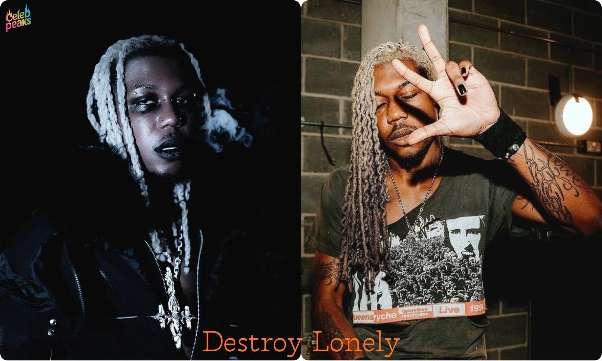 Destroy Lonely